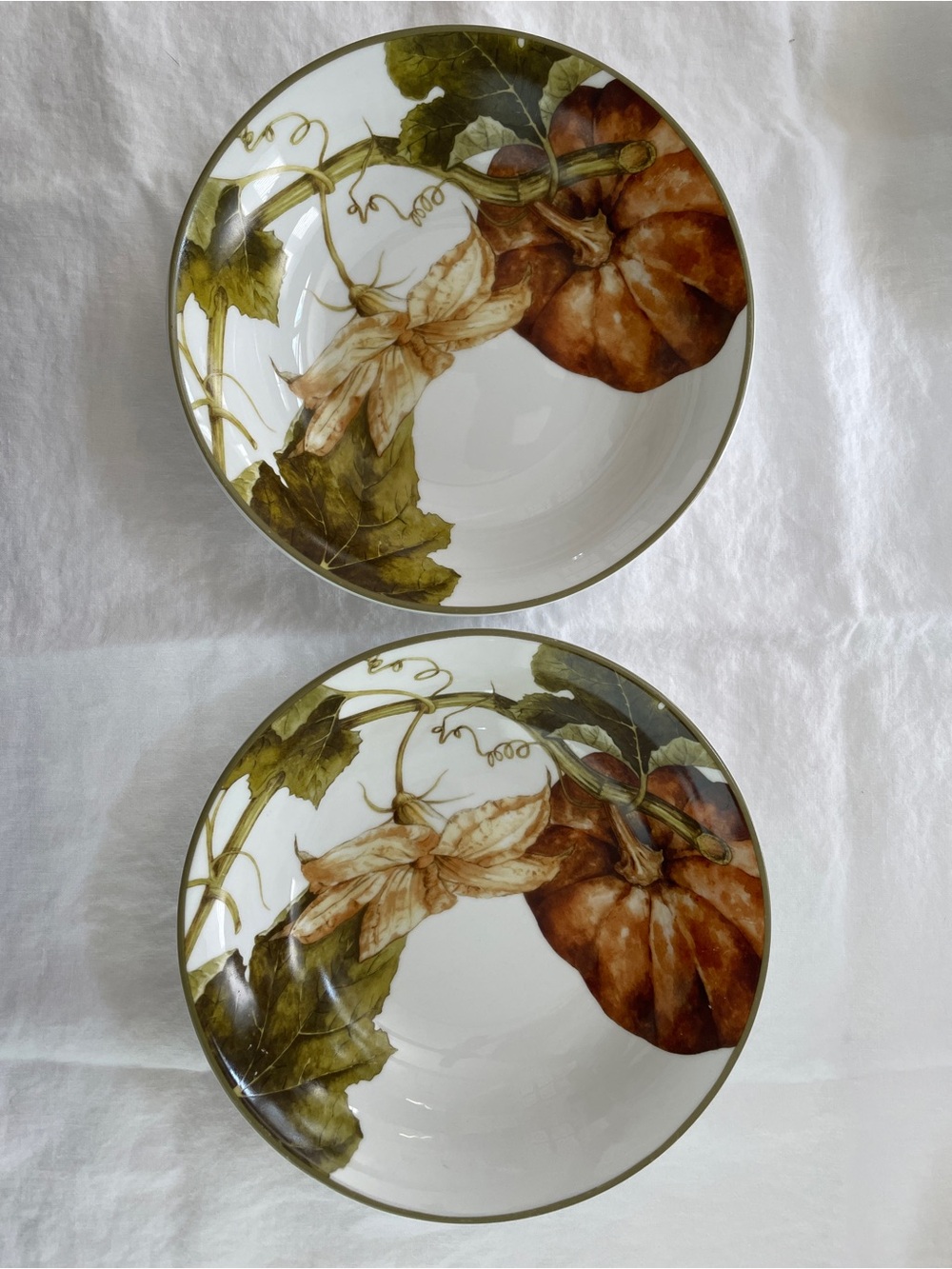 Williams Sonoma Botanical Pumpkin Coupe Soup Bowls 8.75” (Set of 2)